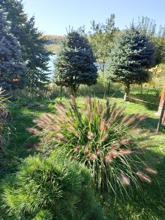 Domek Kajetan z jacuzzi/balią na Kaszubach nad jeziorem Deka