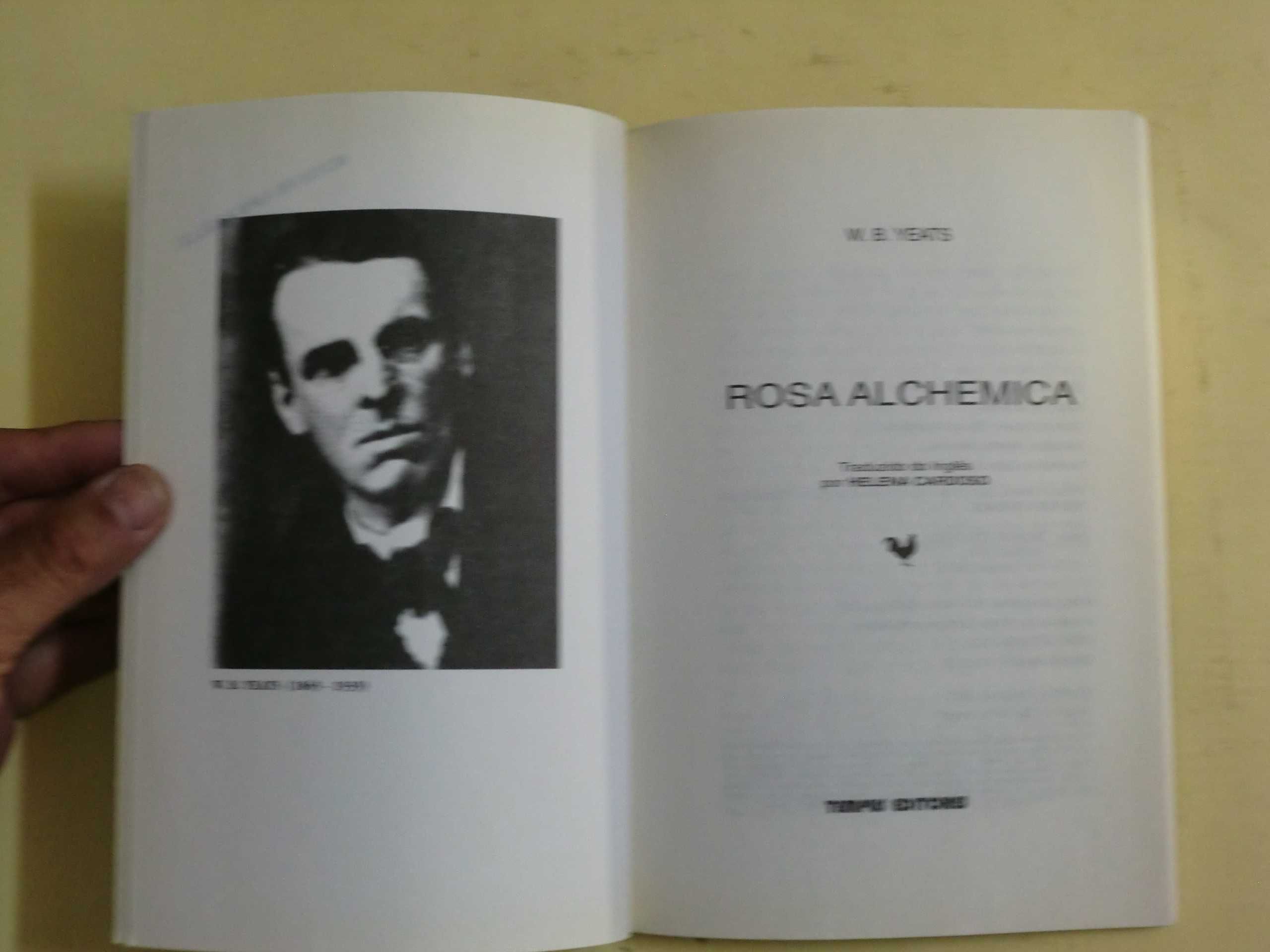 Rosa Alchemíca
de William Butler Yeats