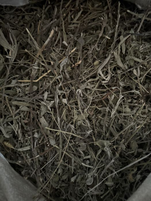 Шавлія, Шалфей