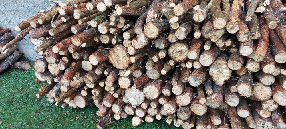 Drzewo sosnowe surowe