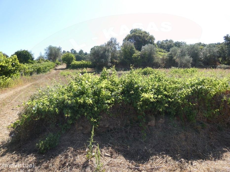 Terreno rústico com 3240m2 em Benfica, Tomar