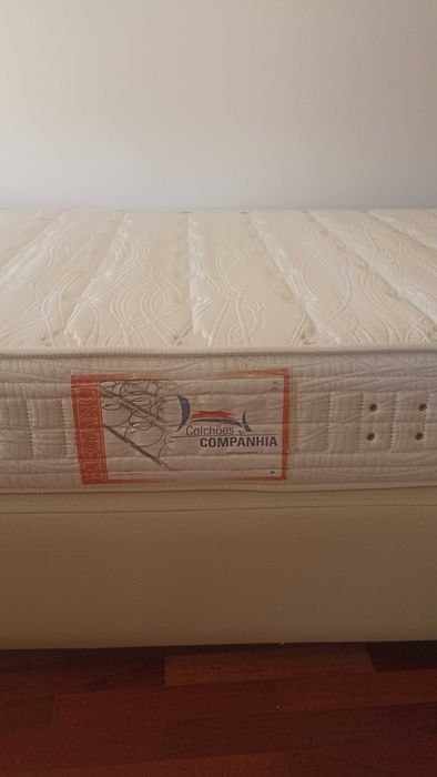 Cama de Solteiro de Colchões e Companhia em excelente estado.