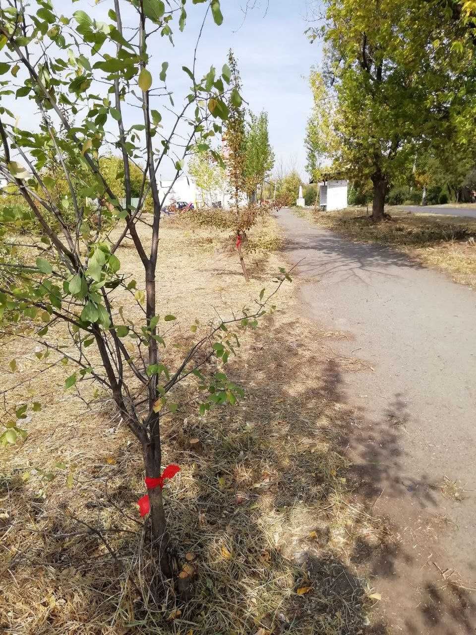 Продаётся земельный участок