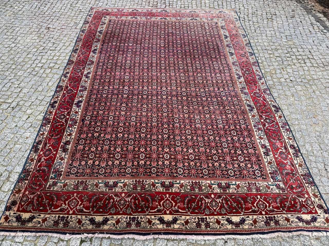 Dywan kaszmirowy perski r. tkany Iran Bidjar 330x220 galeria 26 tys