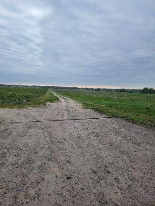 Продажа ділянки, 0.12 га Фасова, садівництво