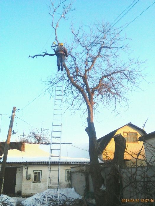 Спил деревьев. Дробилка веток. Покос травы, бурьяна. Корчевка пней