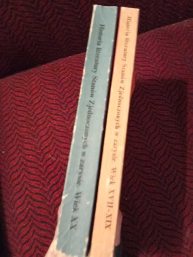 Historia literatury Stanów Zjedoczonych w zarysie - Dwa tomy