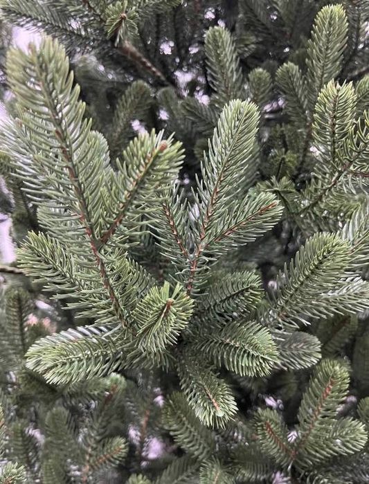 Ялинки литі Альпійська, Ковалівська, Лапландська, Віденська