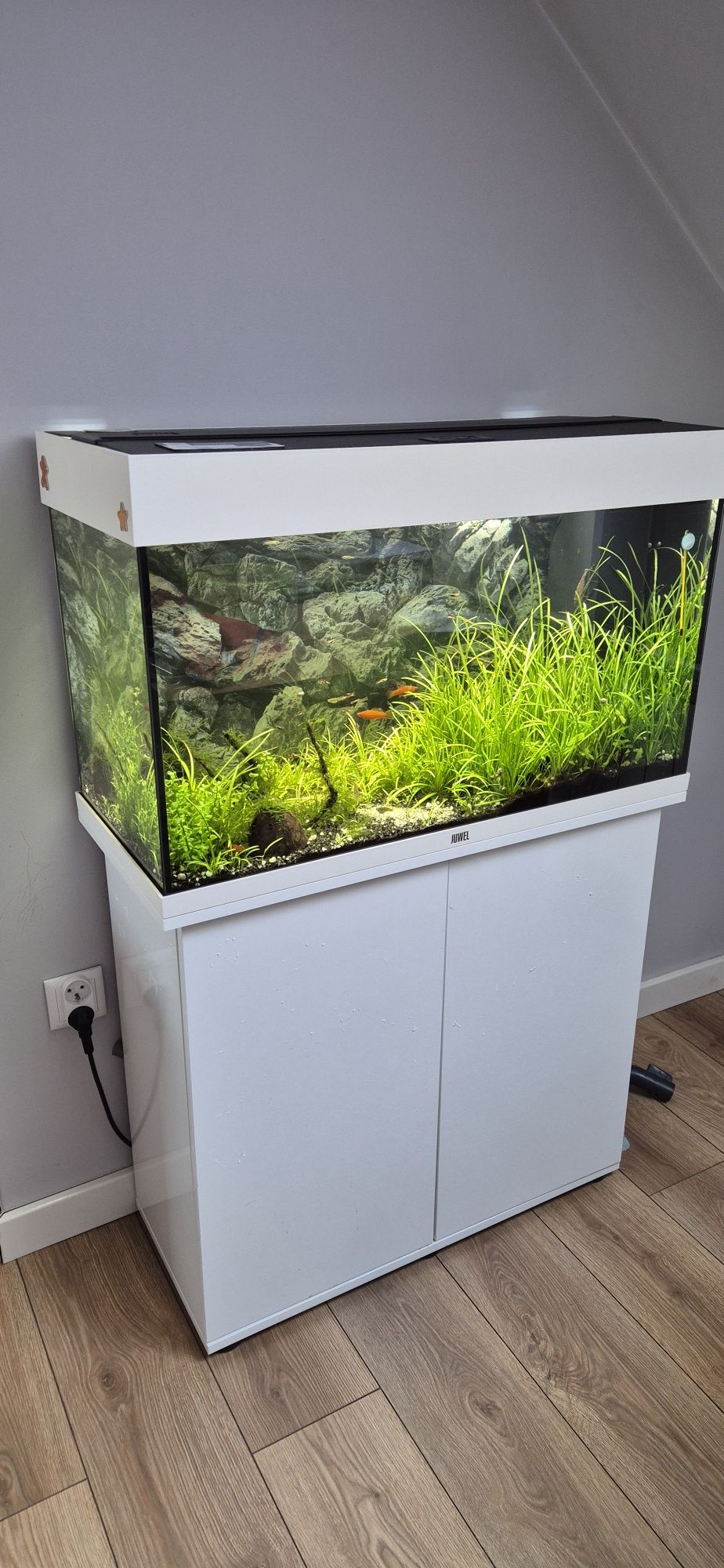 Akwarium Juwel rio 125