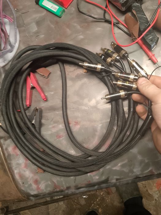 Продам тюльпаны для саба кикс