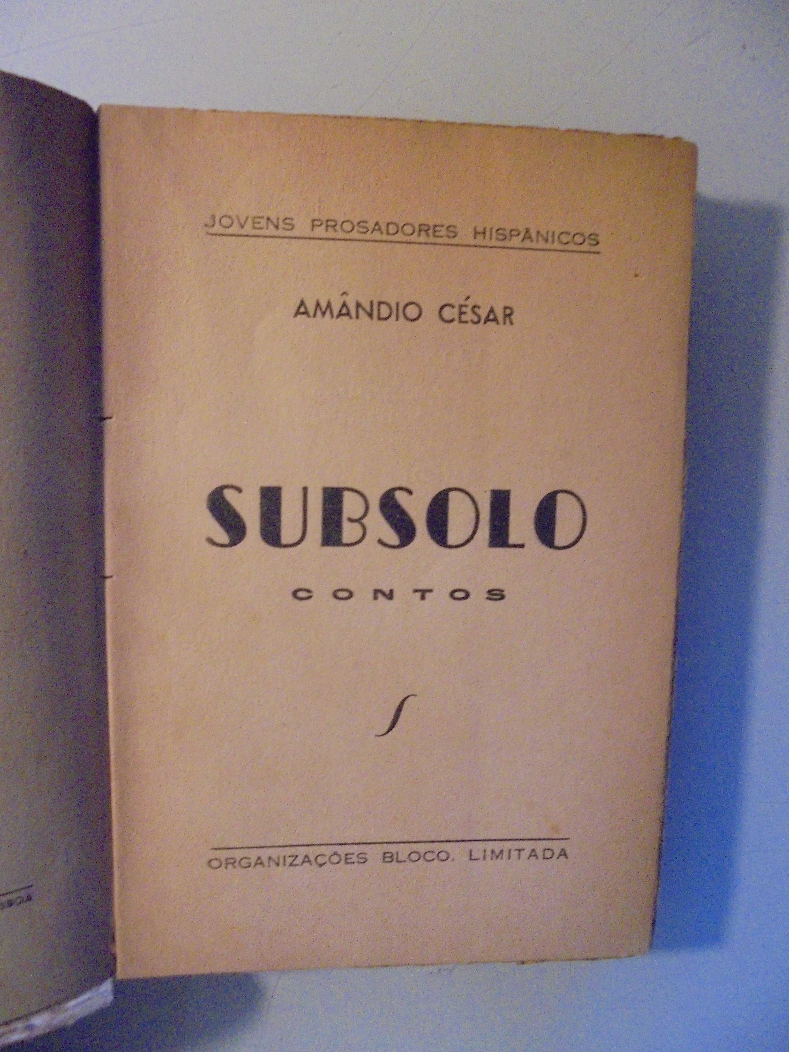 AMÃNDIO CÉSAR- SUBSOLO- CONTOS