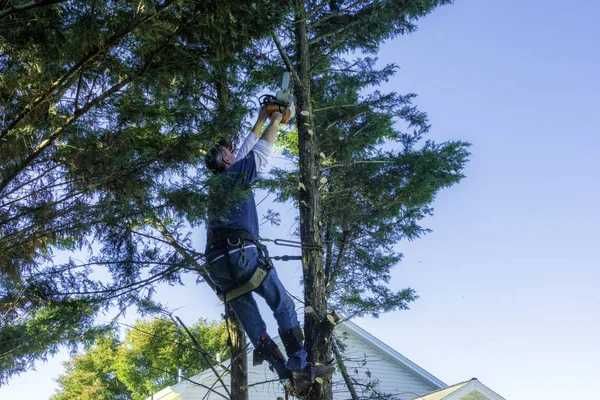 Спилювання дерев Обрізка гілок Розчищення ділянок Благоустрій