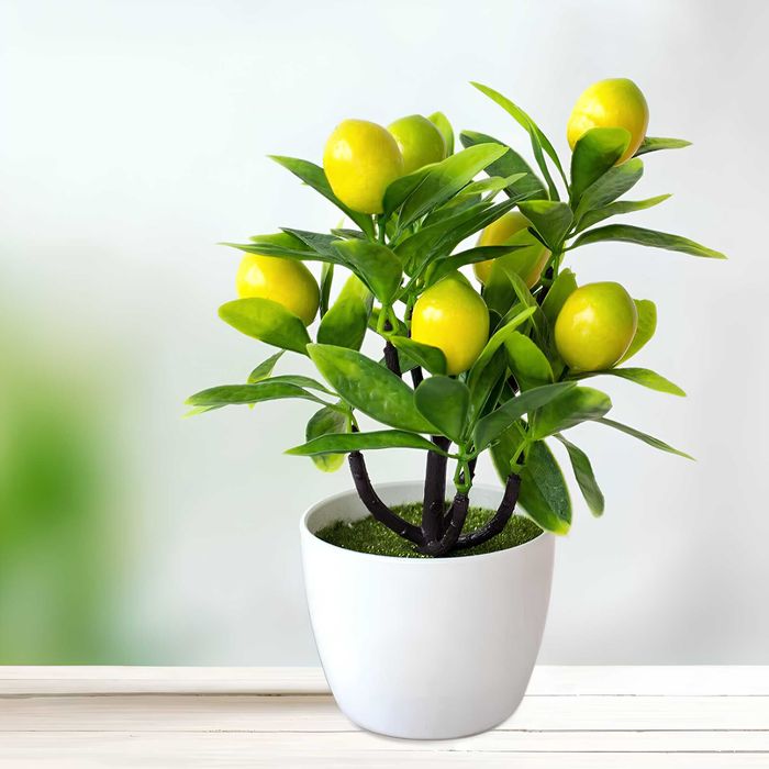 SZTUCZNE DRZEWKO CYTRUSOWE cytrynowe w doniczce ozdoba domu roślina