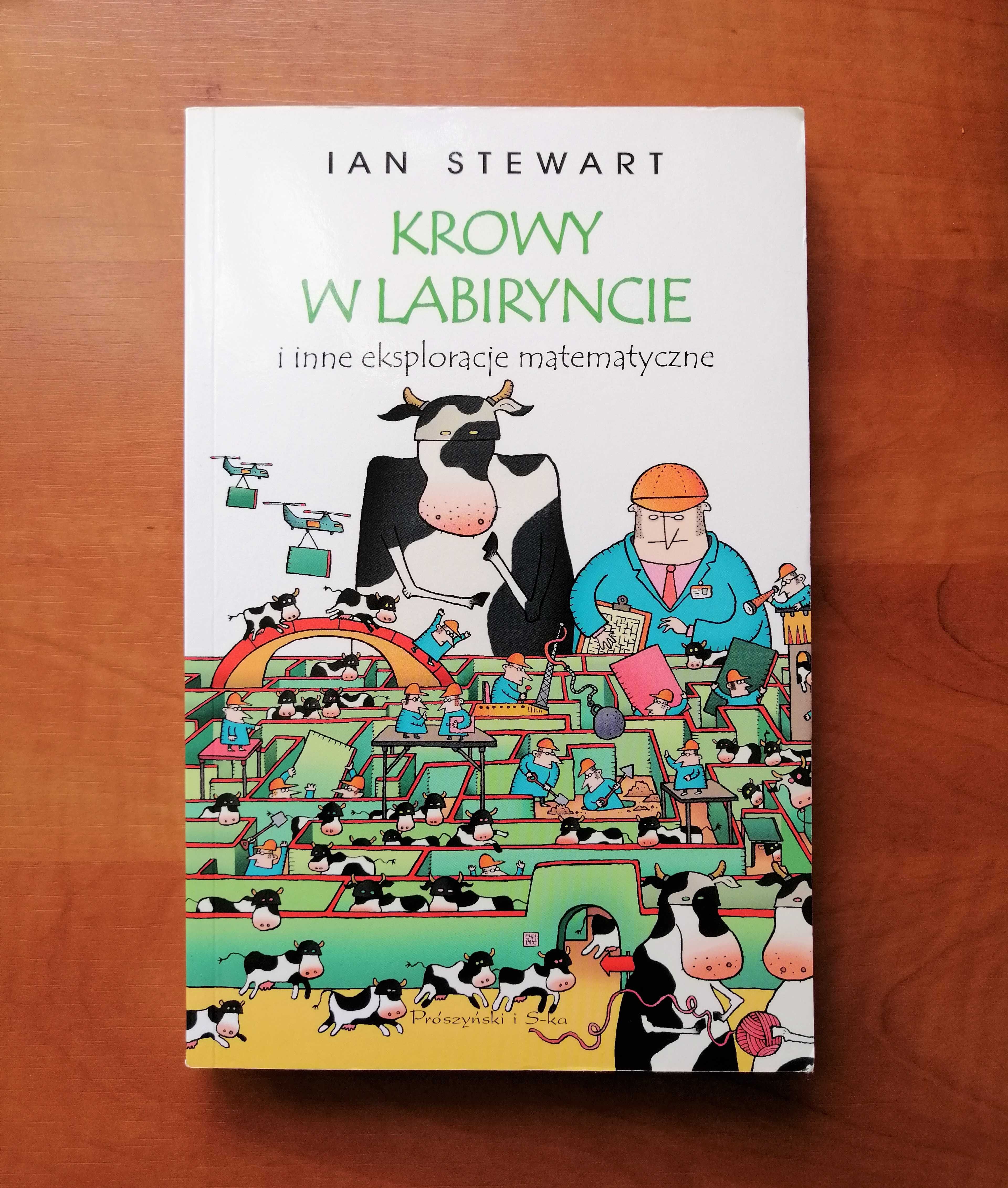 Książka „Krowy w labiryncie i inne eksploracje matematyczne”, stan bdb