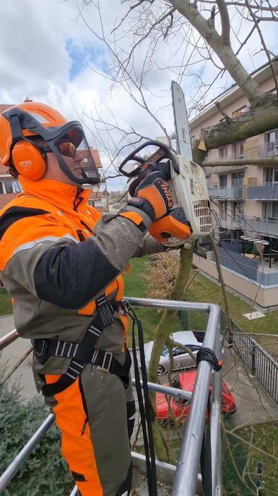 wycinka drzew przycinanie krzewów tui mycie kostki kosznie