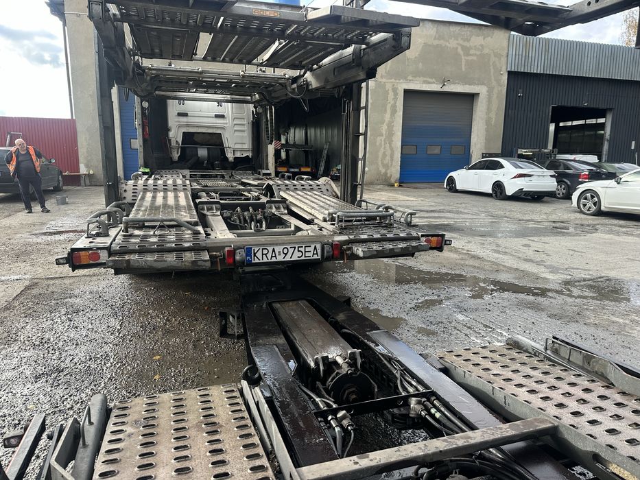 Autotransporter ROLFO