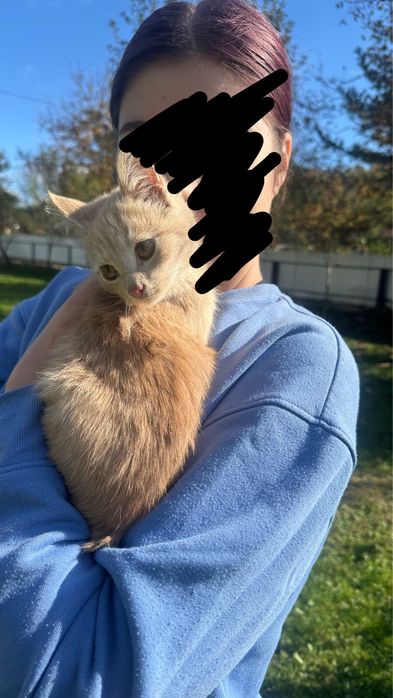 Віддам у добрі руки