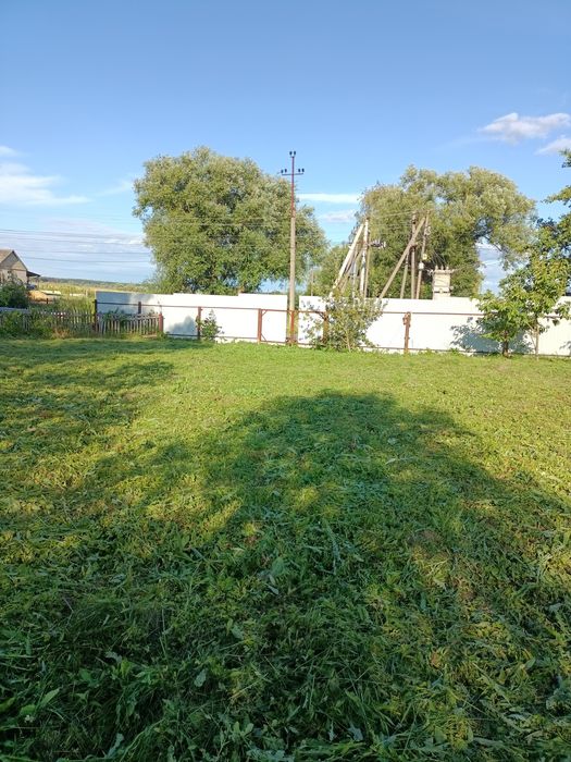 Будинок з гарною ділянкою