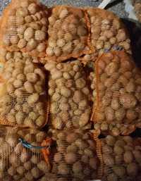 Ziemniaki soraya z gospodarstwa