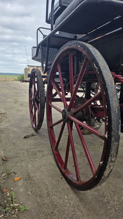 Bryczka, maratonka, wagonetka