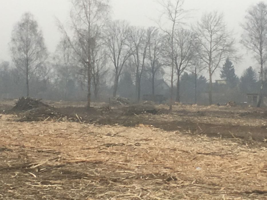 Karczowanie czyszczenie i rekultywacja działek mulczer leśnym, wycinka