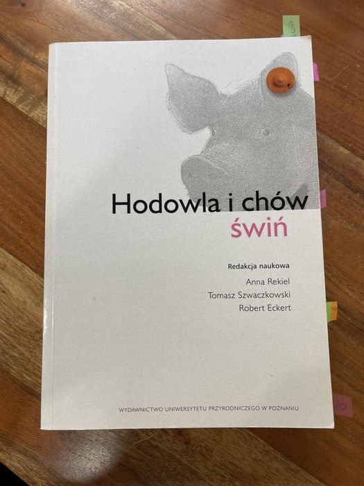 Hodowla i chów świń Anna Rekiel
