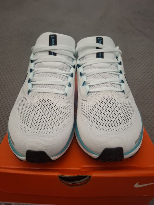 Кросівки Nike Air ZOOM PEGASUS 41