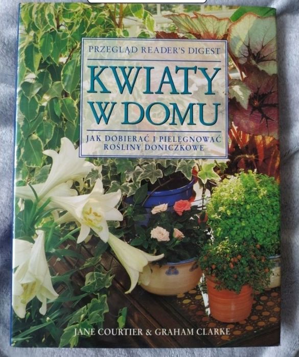 Pielęgnowanie roślin pokojowych. Rośliny doniczkowe. Kwiaty w domu