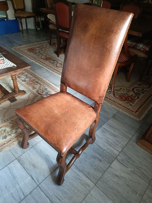 6 Cadeiras em pele e madeira de Castanho Velho