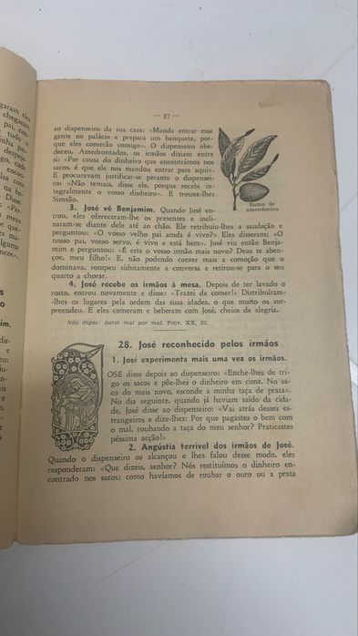 Biblia das escolas 1956