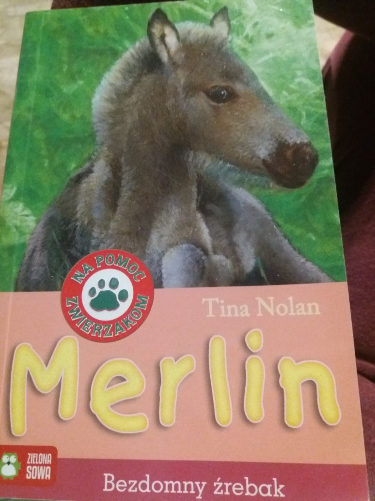 "Merlin bezdomny źrebak" Tina Nolan