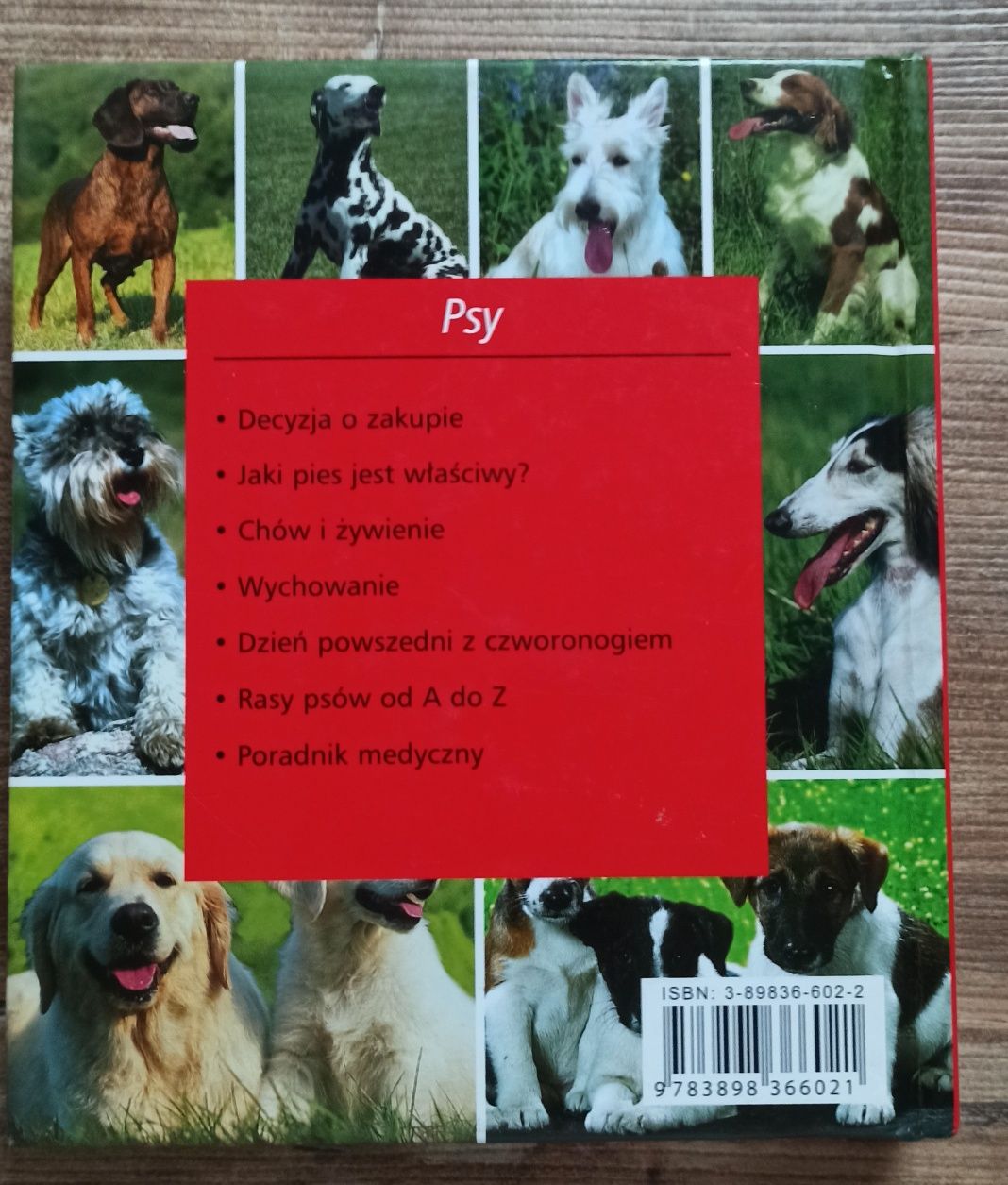 Album Książka PSY - Honos Koeln