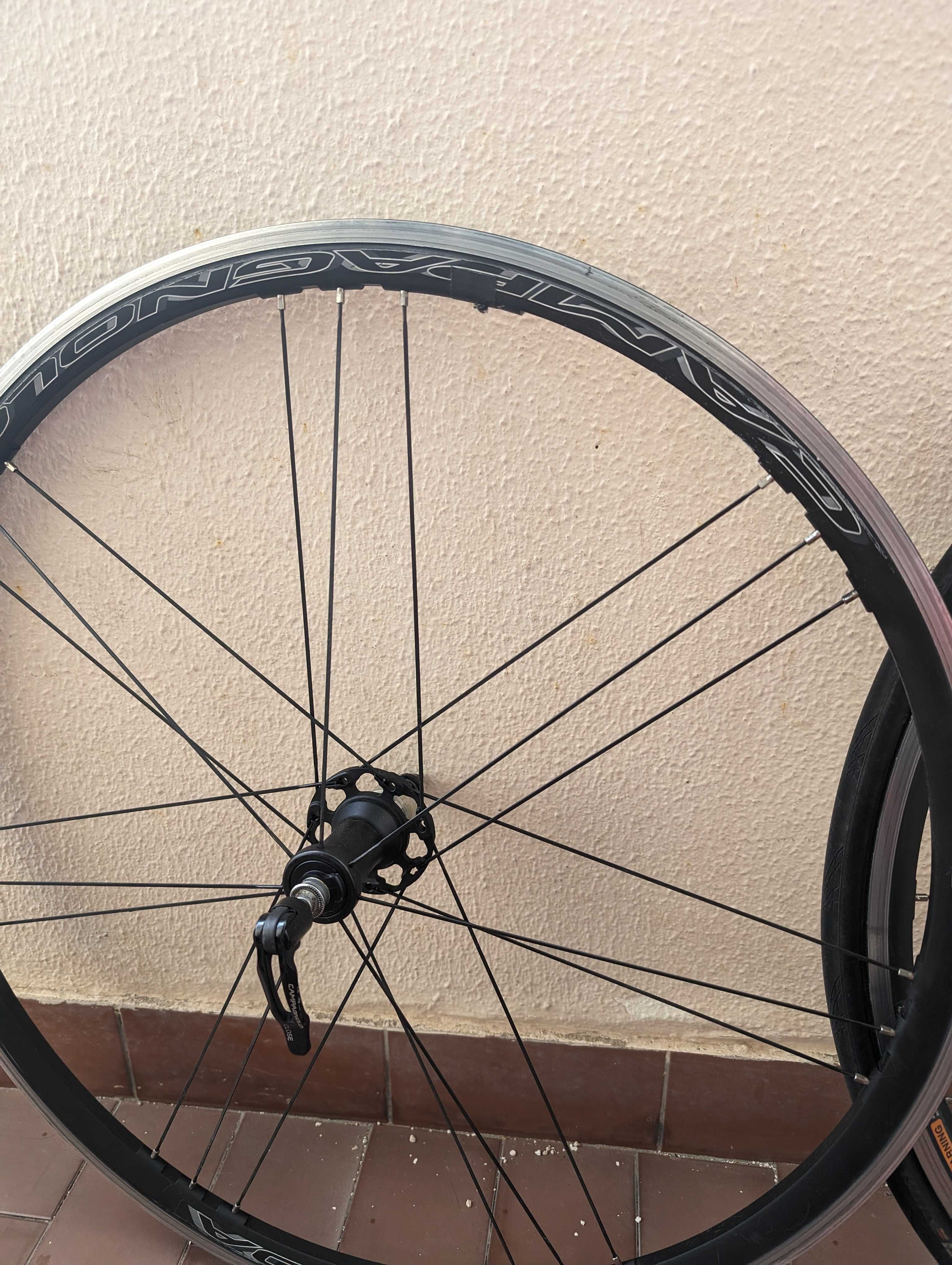 Rodas de ciclismo 28" campagnolo Zonda