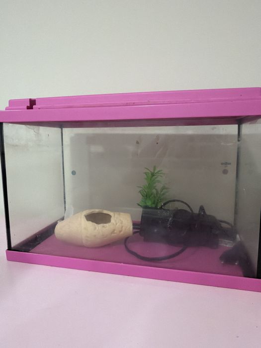 Aquario pouco usado