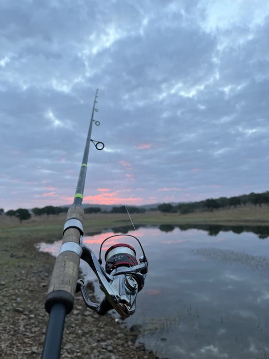 Vendo cana g loomis E6X