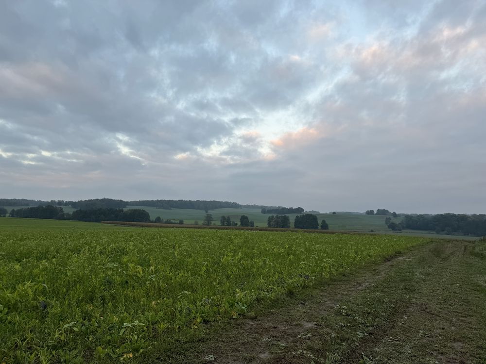 Dzialka rolno - budowlana we wsi Sobota Lwowek Slaski  30 arow
