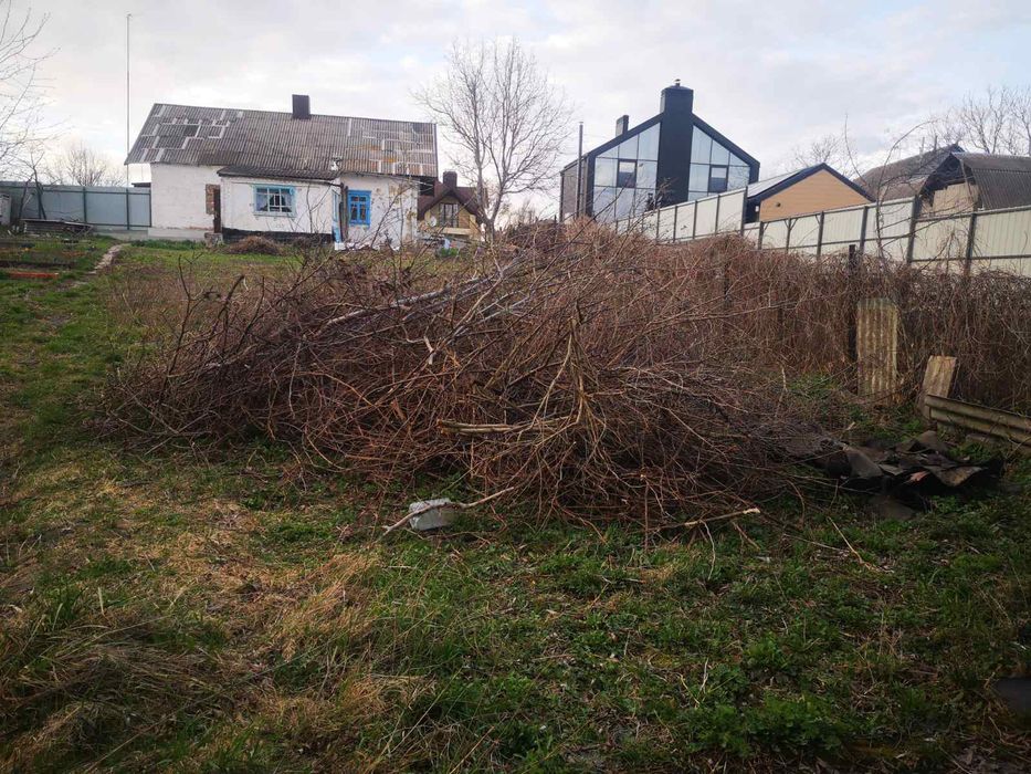 Вивіз гілок. Прибирання територій.