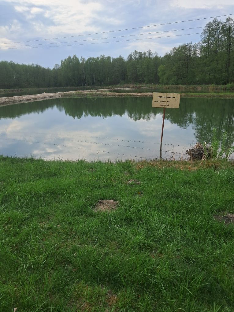 Sprzedam działkę w Nekielce