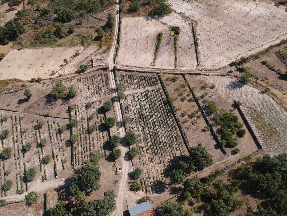 Quinta da Foroa, Macieira (Sernancelhe)