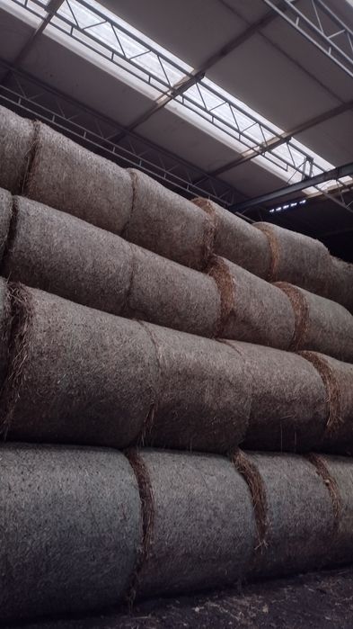 Sloma 2025 bele suche