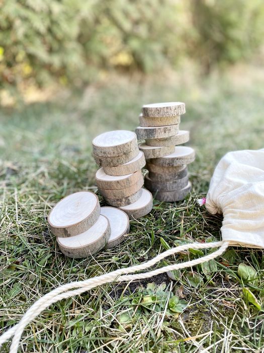 Zestaw plastrów drewna