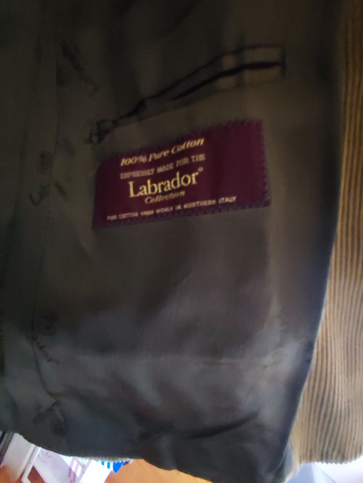 Blazer Labrador Veludo