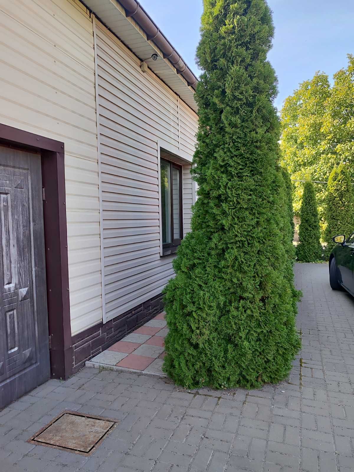 Продам СТО   + офісне  приміщення