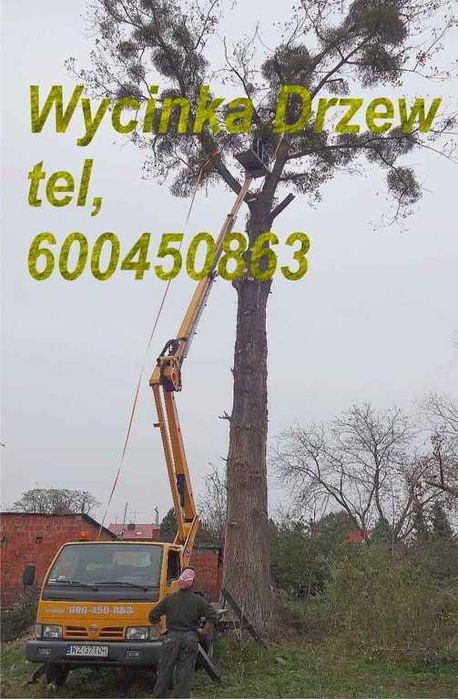 Wynajem, Minikoparki z wiertnicą, z młotem,Podnośniki, Agregaty Prąd,