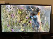Iiyama 24 cale monitor