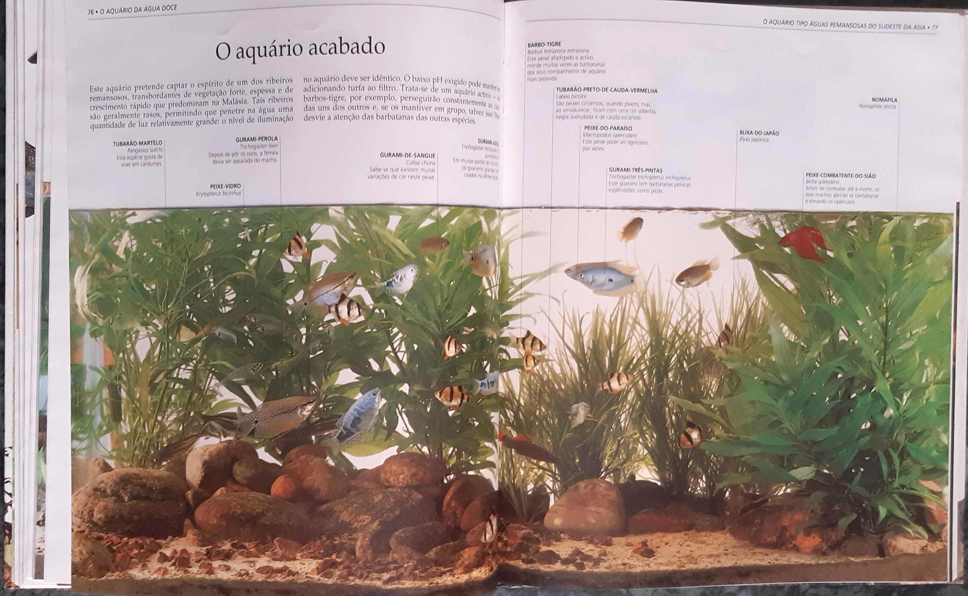 "O Grande Livro Do Aquário" Editora Livros e Livros