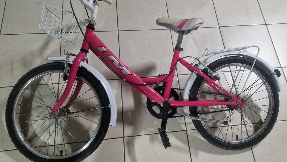 Bicicleta Menina com Cesto - Roda 20"