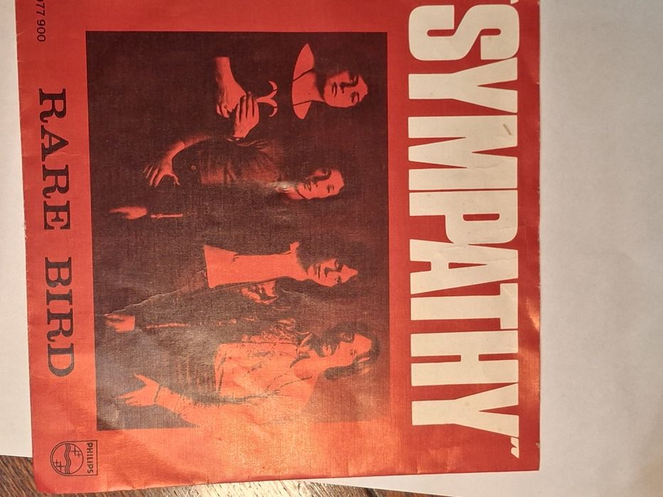 Single em excelente estado Rare Bird Sympathy português