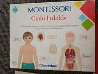Montessori puzzle ciało ludzkie