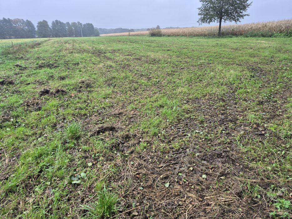 Sprzedam działkę 5000 m2 z warunkami zabudowy